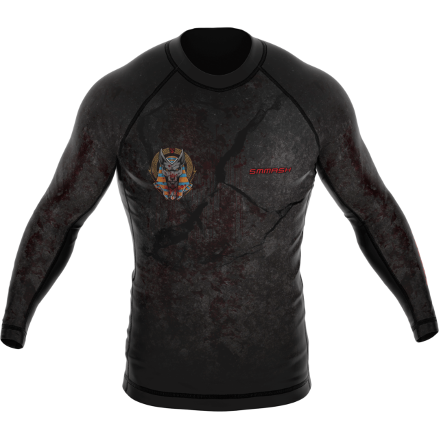 RASHGUARD DE MANGA LARGA