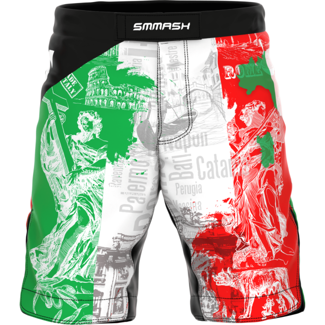 PANTALONES CORTOS MMA PRO